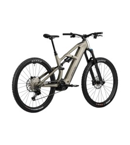 2025 Radon DEFT 8.0 800 Mountain Bike