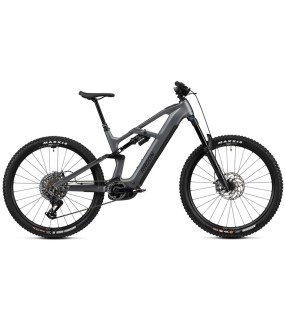 2025 Radon DEFT 9.0 800 Mountain Bike