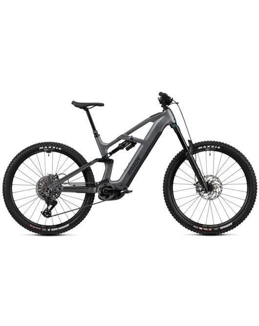 2025 Radon DEFT 9.0 800 Mountain Bike