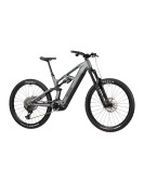 2025 Radon DEFT 9.0 800 Mountain Bike