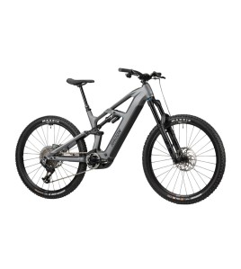 2025 Radon DEFT 9.0 800 Mountain Bike