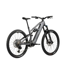 2025 Radon DEFT 9.0 800 Mountain Bike
