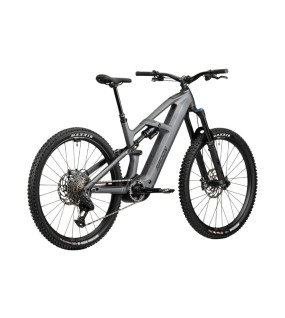 2025 Radon DEFT 9.0 800 Mountain Bike