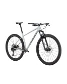 2025 Specialized Chisel Hardtail Mountain Bike
