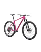 2025 Specialized Epic Hardtail Comp Mountain Bike
