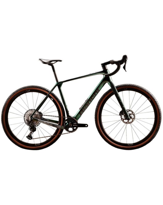 2025 Bianchi Arcadex Pro - Carbon Gravel Bike