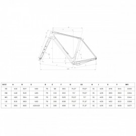 2025 Bianchi Arcadex Pro GRX 820/822 disc 1x12sp Carbon Gravel Bike