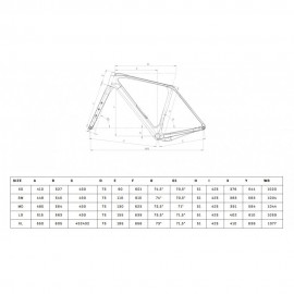 2025 Bianchi Arcadex Comp GRX 610 12SP Carbon Gravel Bike