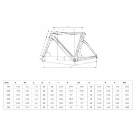 2025 Bianchi OLTRE COMP 105 Di2 12sp Carbon Road Bike
