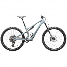 2025 Specialized Stumpjumper 15 COMP Carbon Mountain Bike