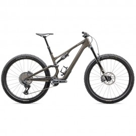 2025 Specialized Stumpjumper 15 EXPERT Carbon Mountain Bike