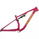 2025 Specialized Chisel Frameset