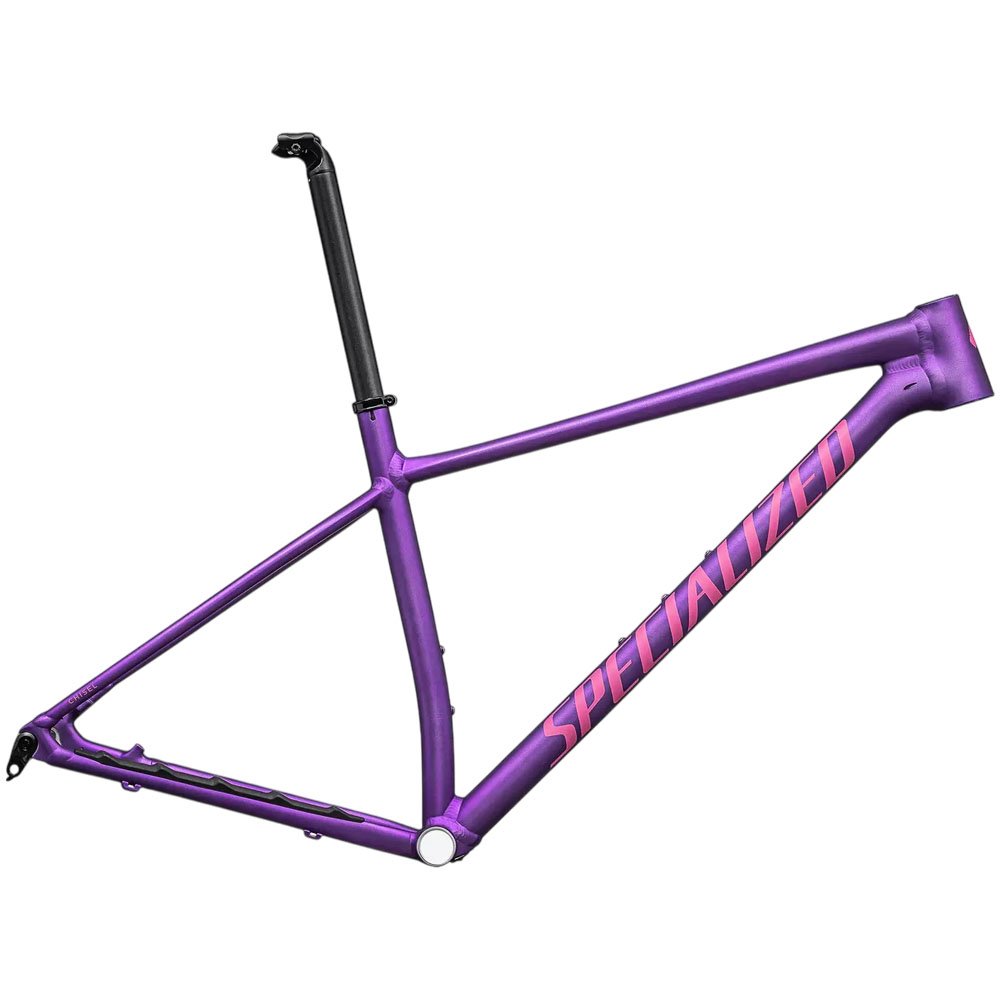 2025 Specialized Chisel Hardtail Frameset