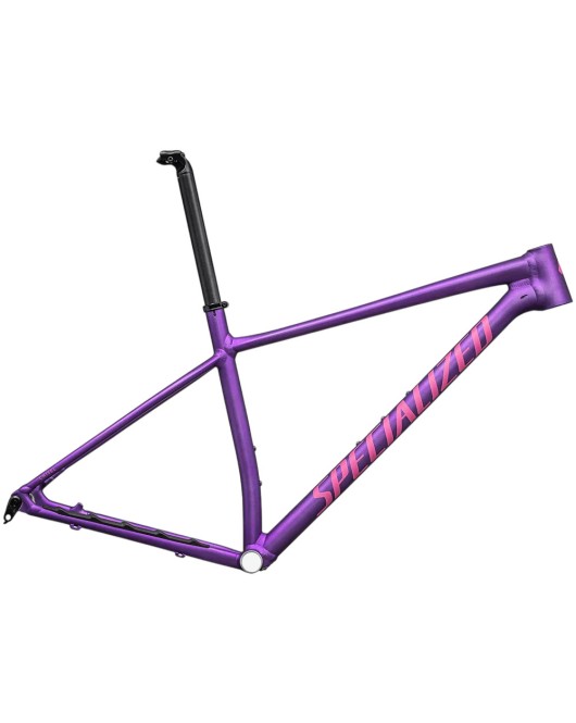 2025 Specialized Chisel Hardtail Frameset