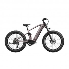 Mokwheel Onyx E-bike