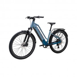 Polygon Kalosi Altera ST - Urban E-Bikes