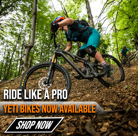Yeti Alldaybike
