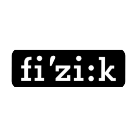 Fizik Shoes