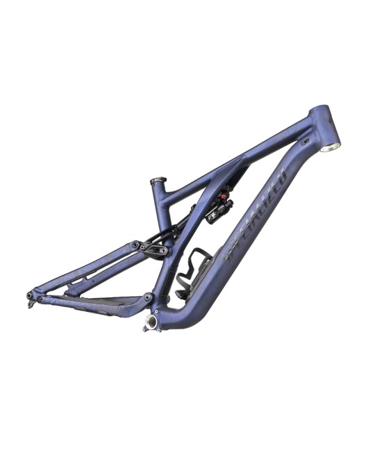 2023 Specialized Stumpjumper EVO Alloy LTD Frameset