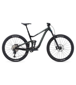 Giant Trance X 29 2 Mountain Bike 2021