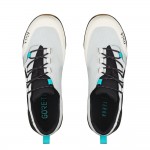 Fizik Terra Ergolace GTX Shoe